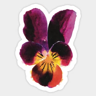 Violet Johnny Jump-up Sticker